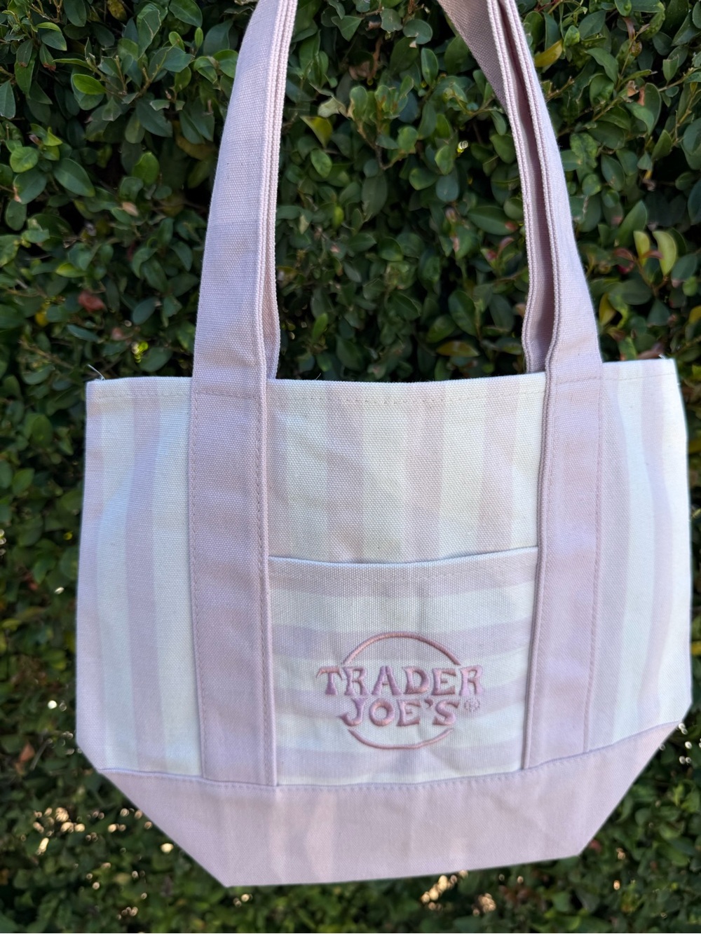 Pink Canvas Tote Bag